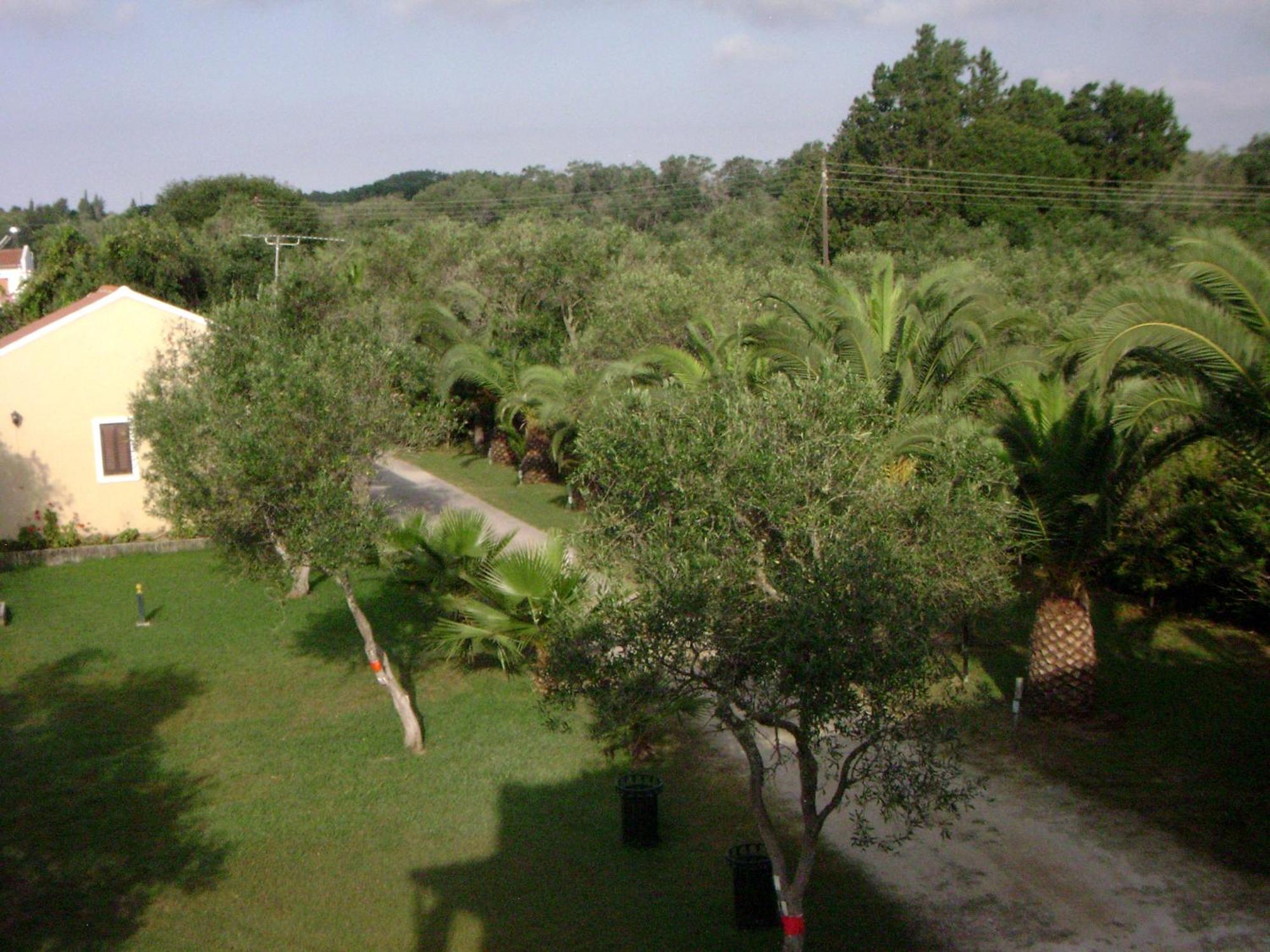 Irini Apartments And Studios Κάβος Εξωτερικό φωτογραφία