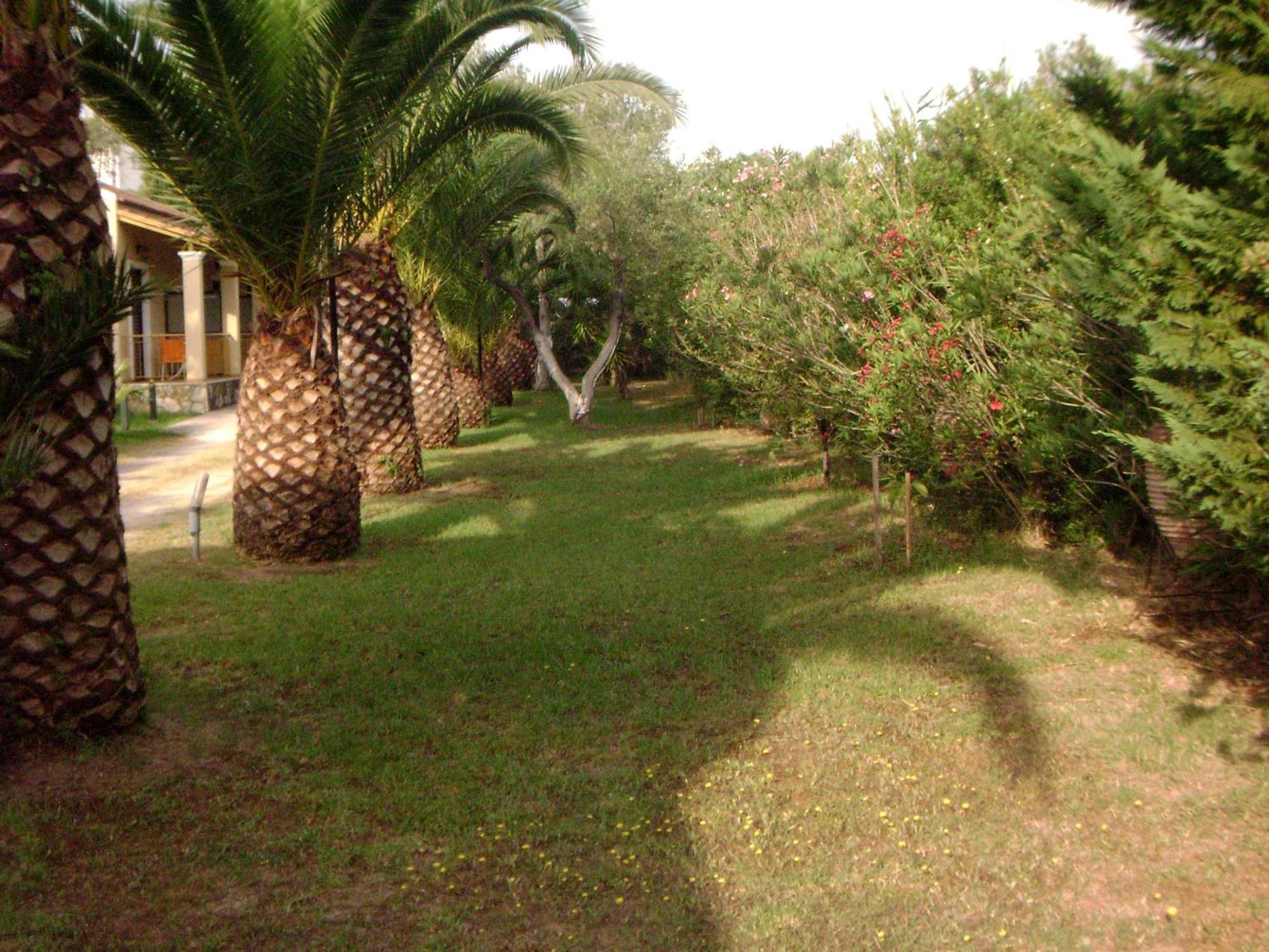 Irini Apartments And Studios Κάβος Εξωτερικό φωτογραφία